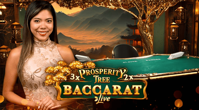 에볼루션 바카라